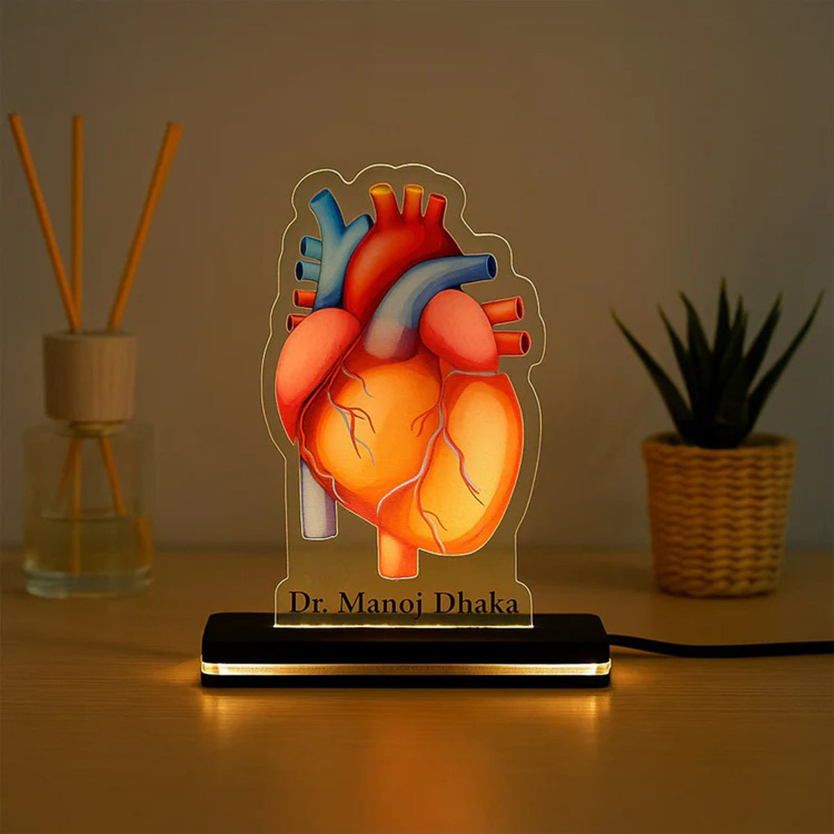 Personalized Doctor 3D Acrylic LED Lamp